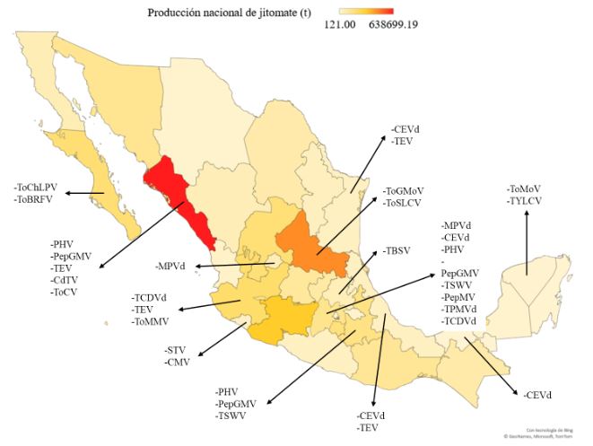 Virus y viroides en jitomate (Solanum lycopersicum) y rizobacterias promotoras de crecimiento vegetal como alternativa de manejo. Figura 1 - Estados de la República Mexicana donde se detectaron virus y viroides en jitomate (Ver Cuadro 1)