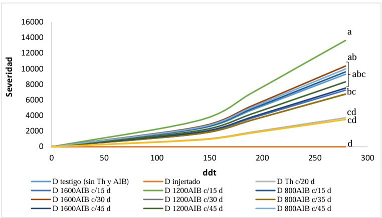 Resistance to <em>Phytophthora capsici</em> in manzano chili grafted onto CM-334, grown in infested soil, with applications of auxins and <em>Trichoderma harzianum</em>. Figure 4 - Area under the disease progress curve (AUDPC) of <em>P. capsici</em> in manzano chili plants grown in Chapingo, Mexico, from 2020 to 2021. dat: days after transplantation. D: non-grafted ‘Dali’ hybrid, d: days (application frequency). <sup>z</sup>Same letters indicate no statistically significant differences (Fisher’s LSD, P≤0.05).